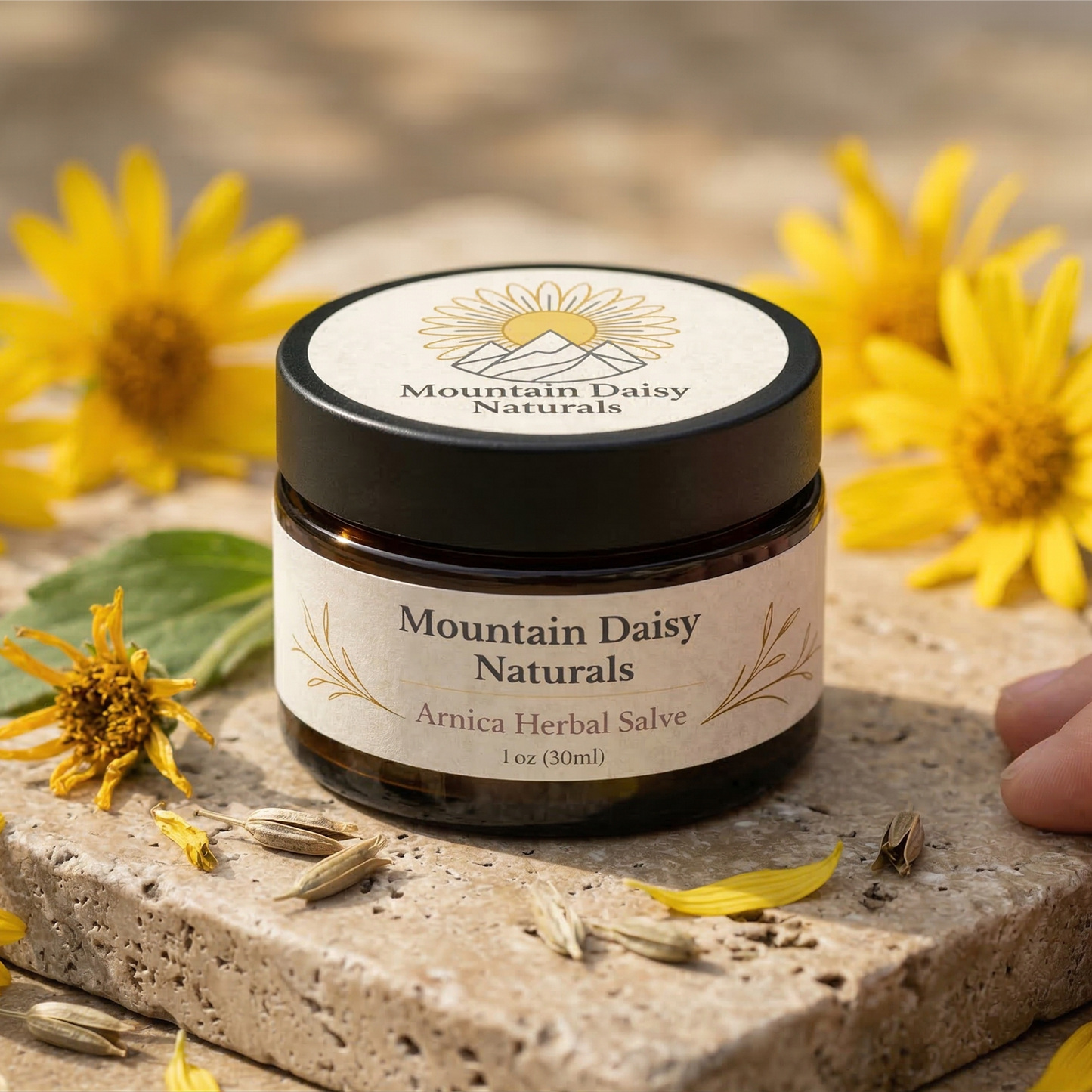 Mountain Daisy Arnica Salve
